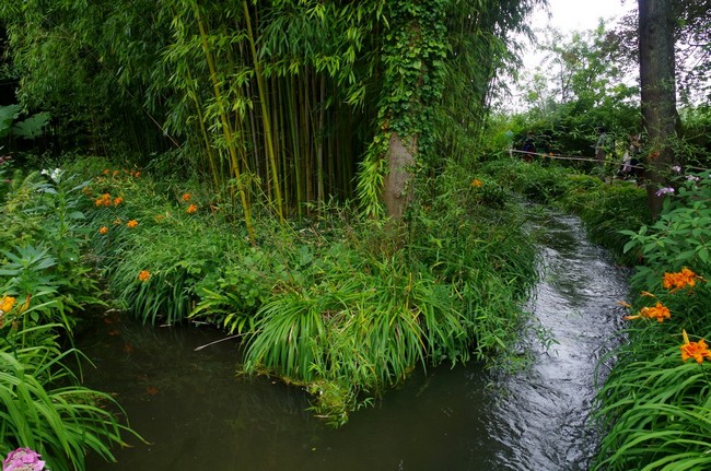 Giverny Juillet 2025