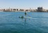 SUP Port Camargue Juillet 2024
