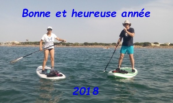 Voeux2018.jpg