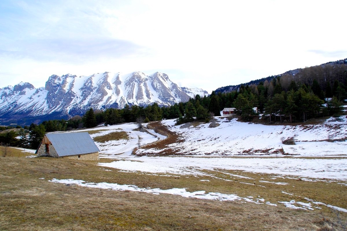 J1JduLoup2020_0006.jpg