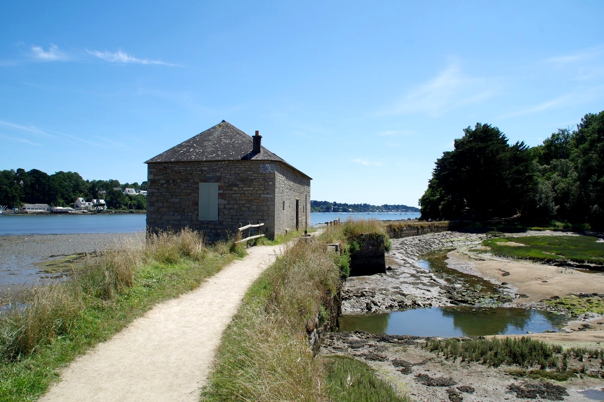 GolfMorbihan12Juillet20_0033.jpg
