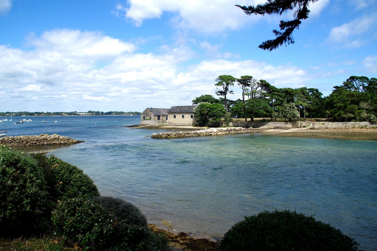 GolfMorbihan15Jullet20_0034.jpg