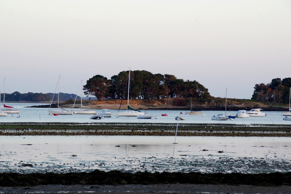 GolfMorbihan17Jullet20_0007.jpg