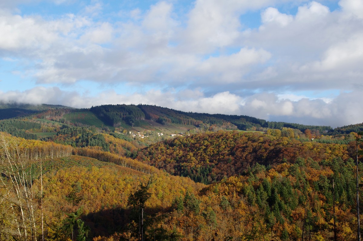 StVictorOct2020_0002.jpg