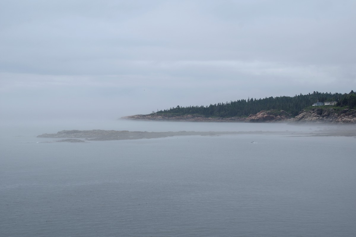 J_Escoumin_Baie_St_Paul_Aut_23_0007.jpg