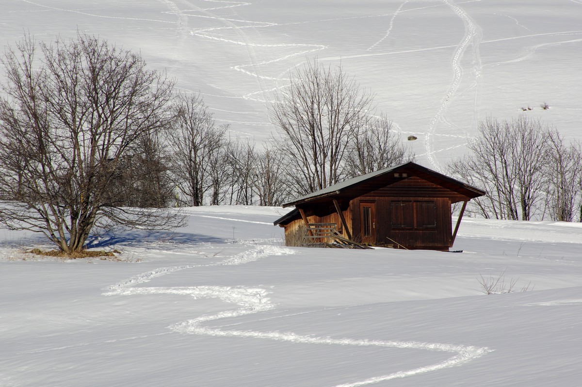 J3SkiJanv25_0006.jpg
