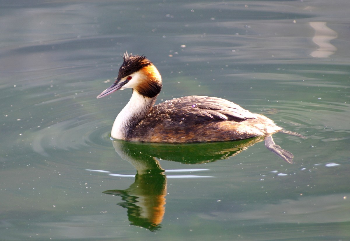 LacBourgetAvril25_0004.jpg